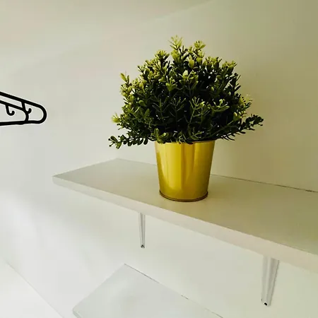 Apartamento Cine Pt Setúbal